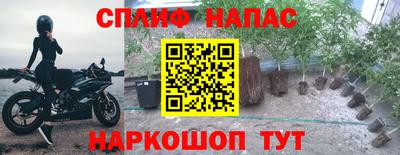 ГАЛЛЮЦИНОГЕННЫЕ ГРИБЫ Ликино-Дулёво