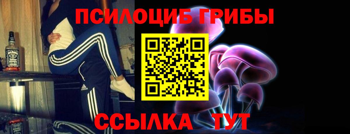 Горячий Ключ  Галлюциногенные грибы GOLDEN TEACHER  цены   Вход с VPN 